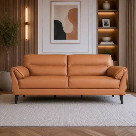 Leather sofa furniture